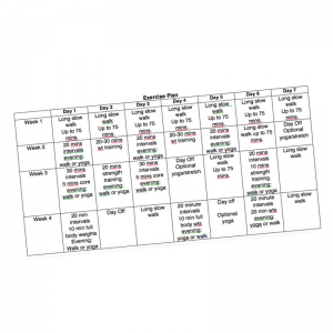 exercise planning guide