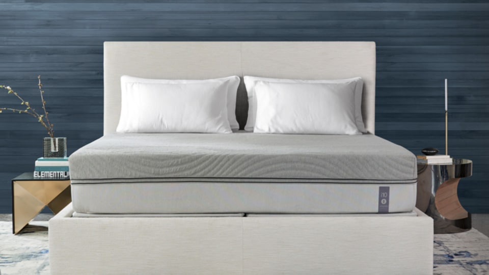 Sleep Number Mattress