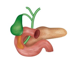 hormone health image