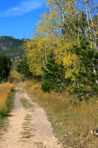 trail_DBBDA09C26422