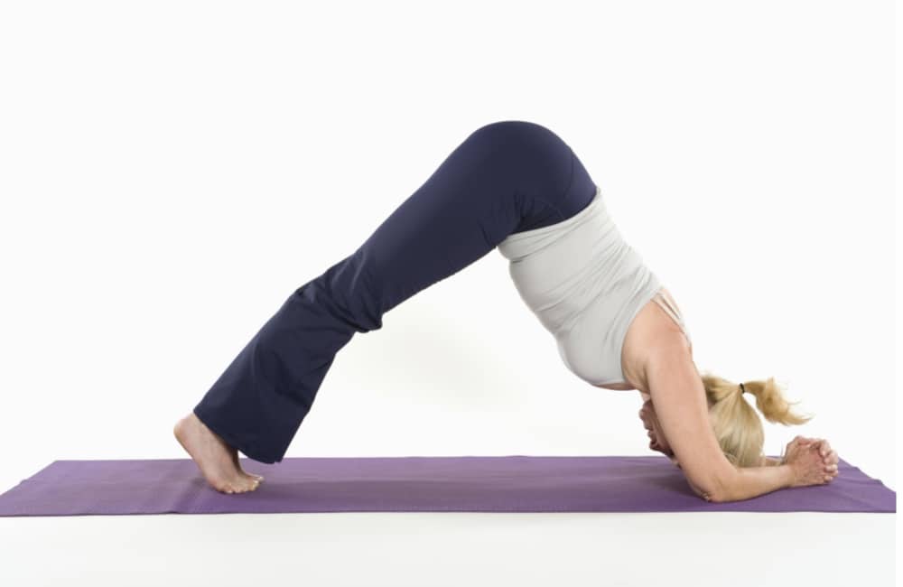 Dolphin Yoga